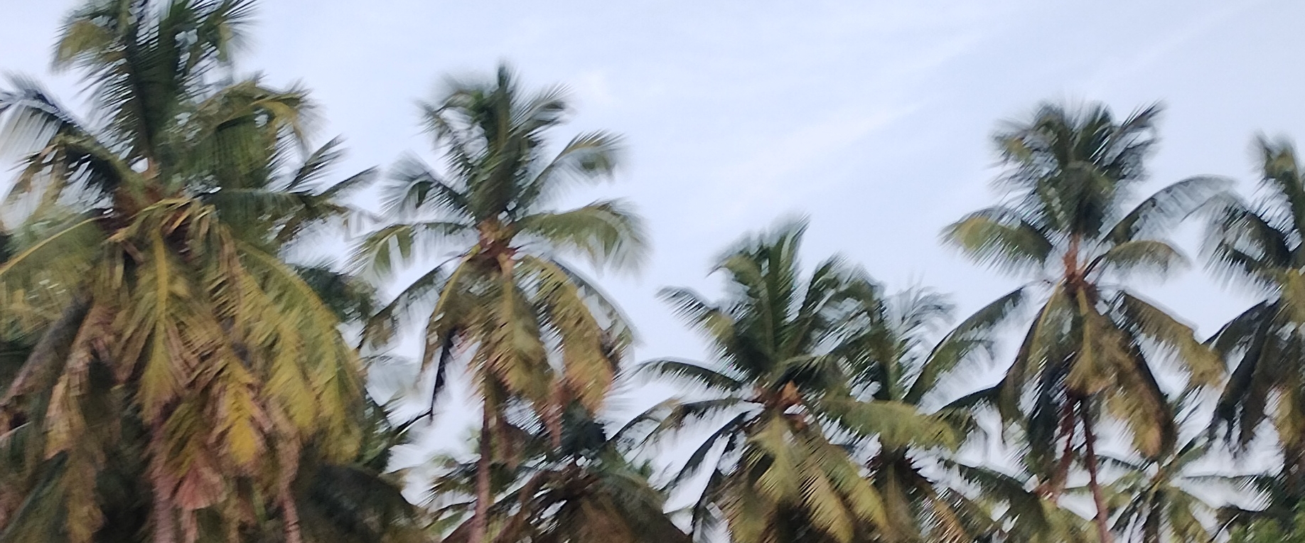 நடை பயணம் நன்மை பயக்கும் banner