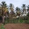 நடை பயணம் நன்மை பயக்கும் logo