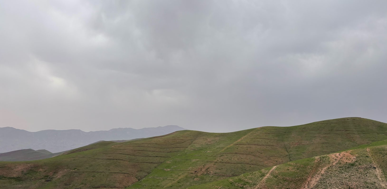 دوستانِ پیاده‌روان banner
