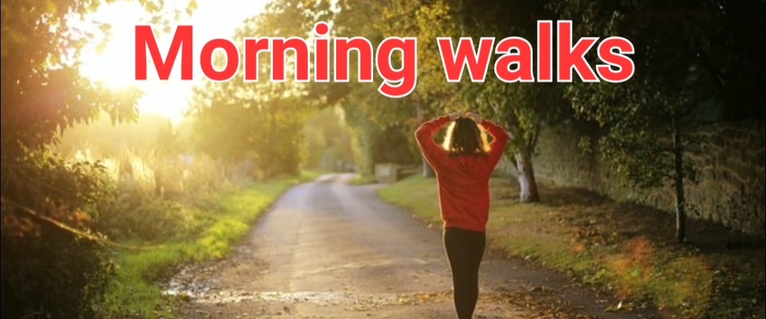Morning walks banner