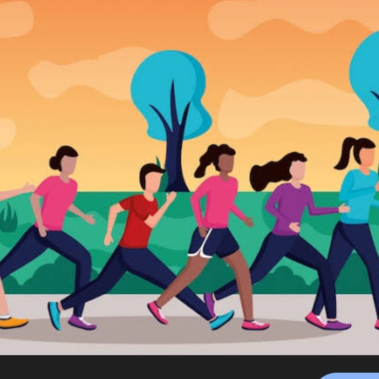The Daily Steppers logo