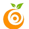 TANGERINE GENERAL INSURANCE logo