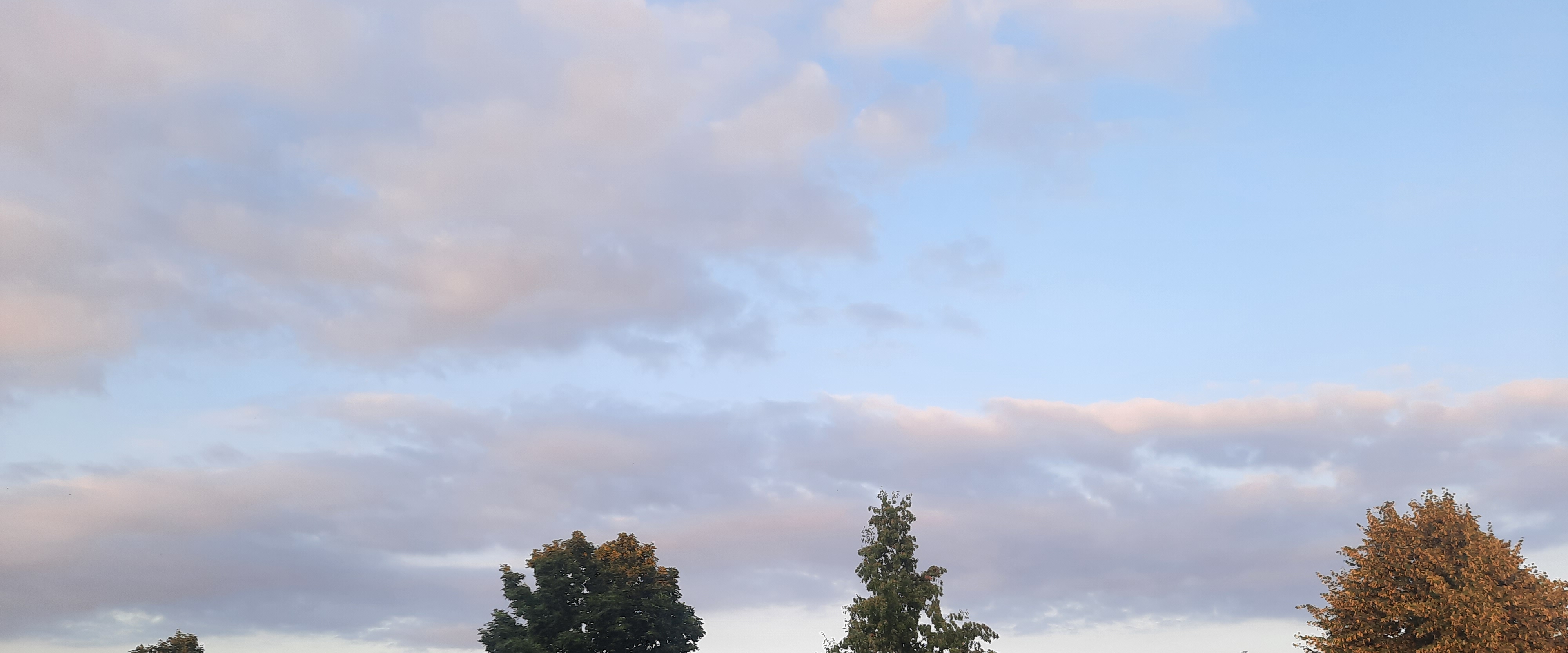 Duisburg läuft 🏁🚶🏻‍♀️🚶🏻‍♂️ banner