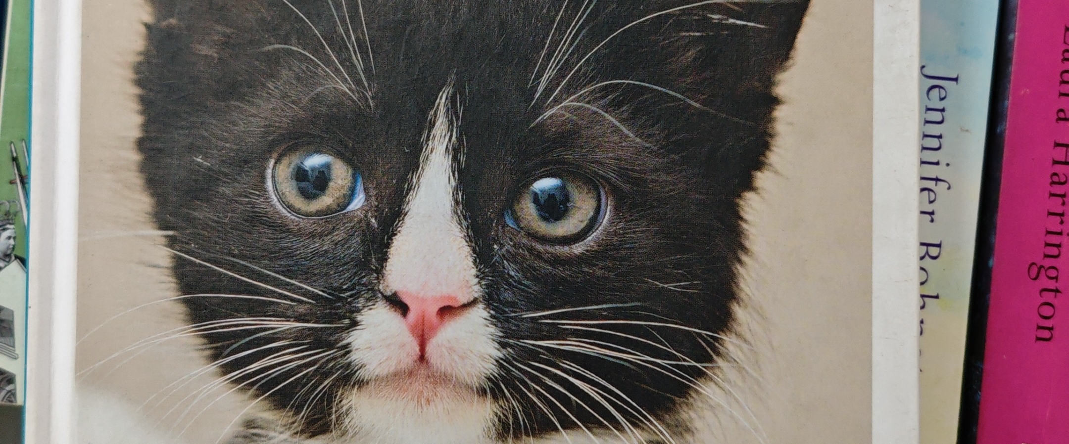 Billi banner