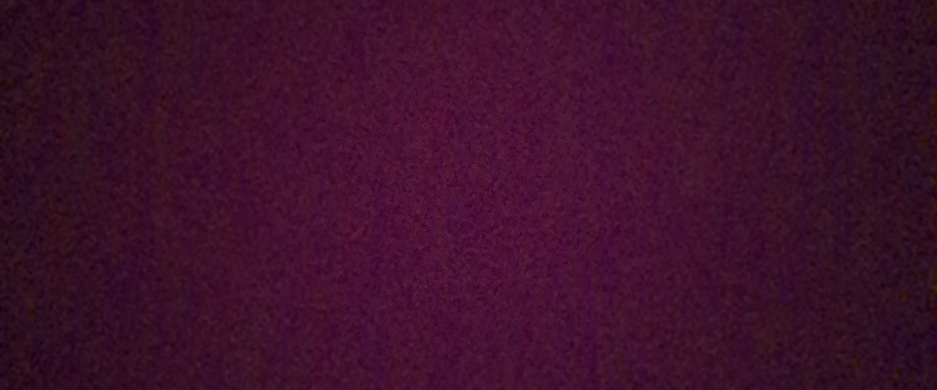Фламинго🦩🦩🦩 banner