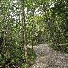 HIKING TRAILS logo