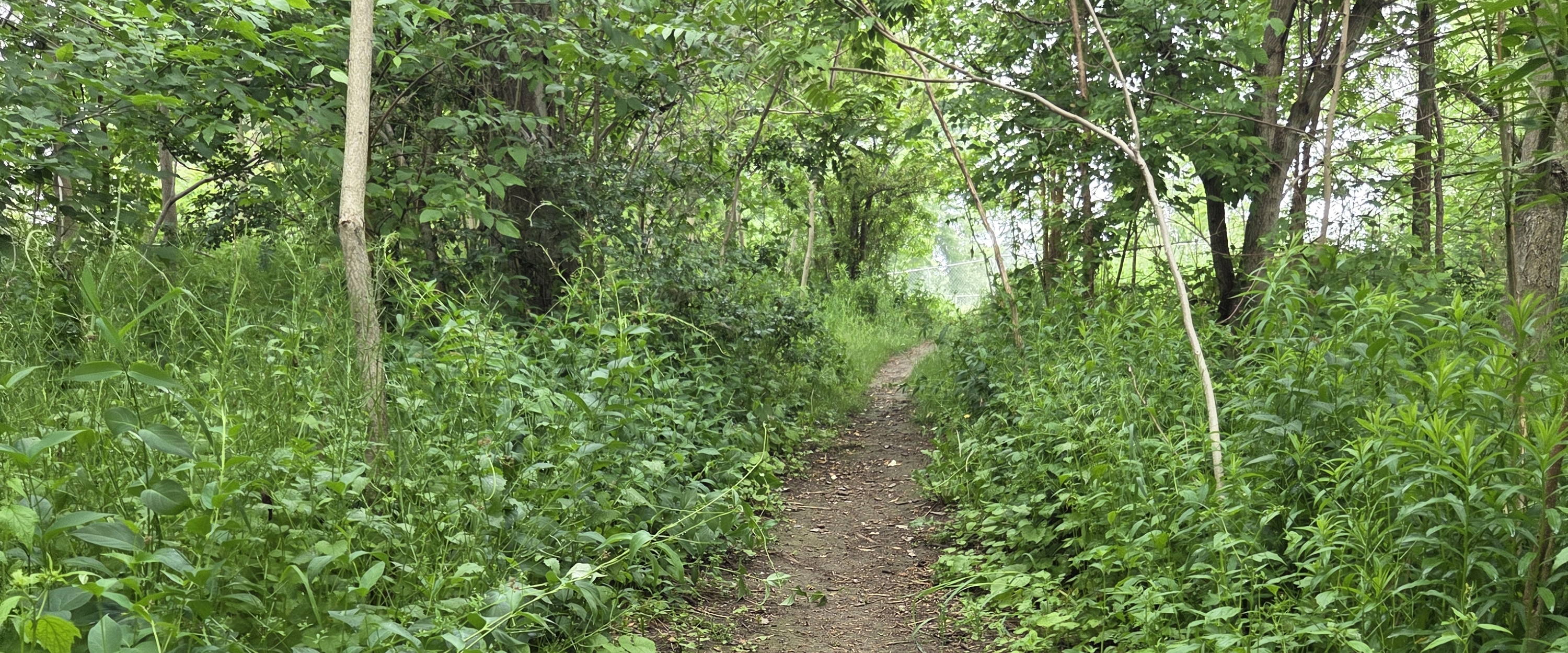 HIKING TRAILS banner