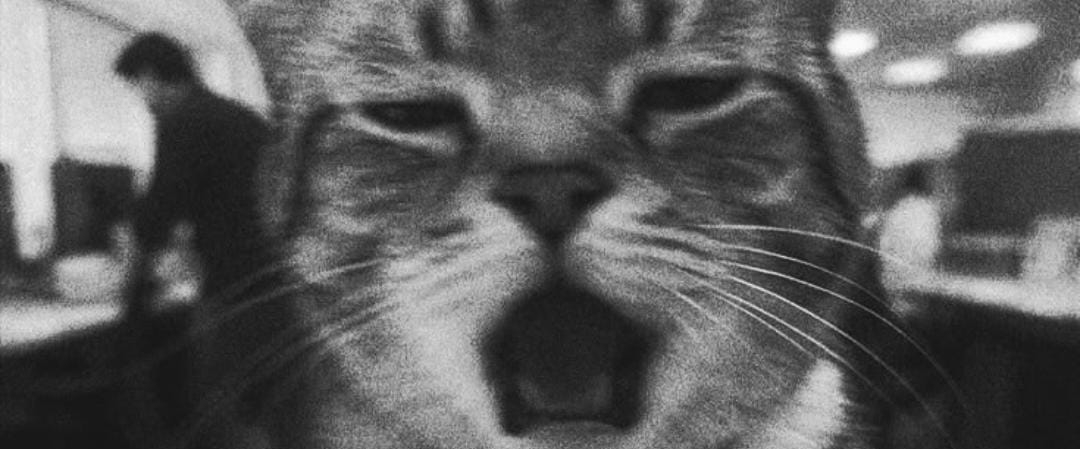 O melhor de cada um! banner