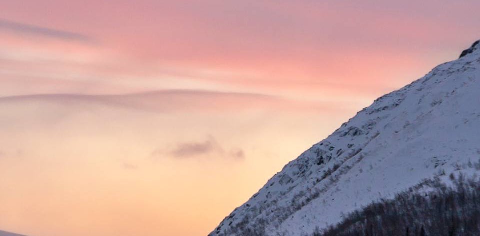 Шустрики  banner