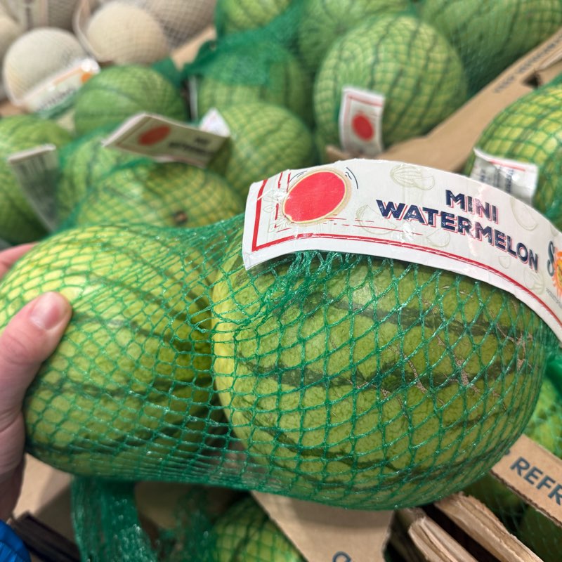 SnakeMelon Gang logo