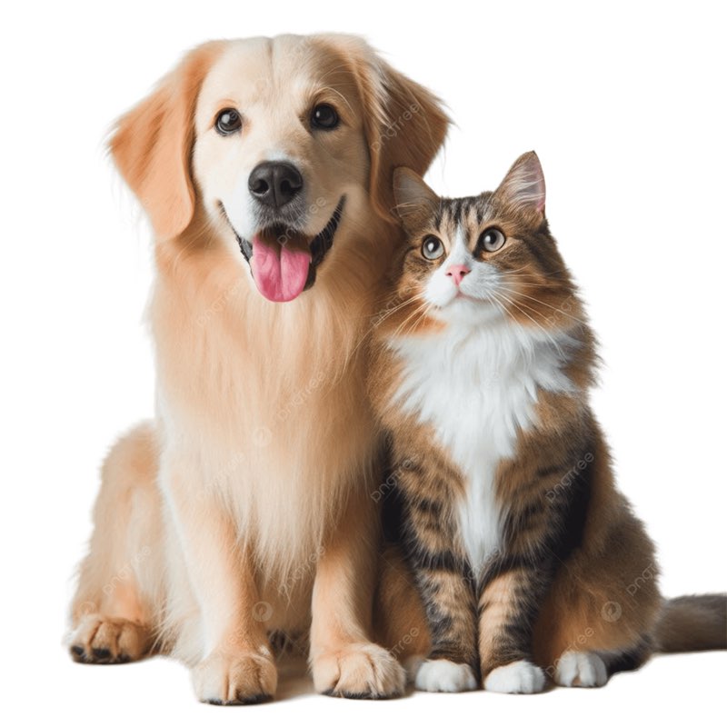 Dog and cat food exchange run logo