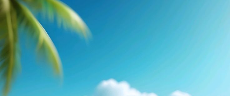 Sky 🌺 🌹🌼🌹🏵️💐🌹 💁♀️ banner