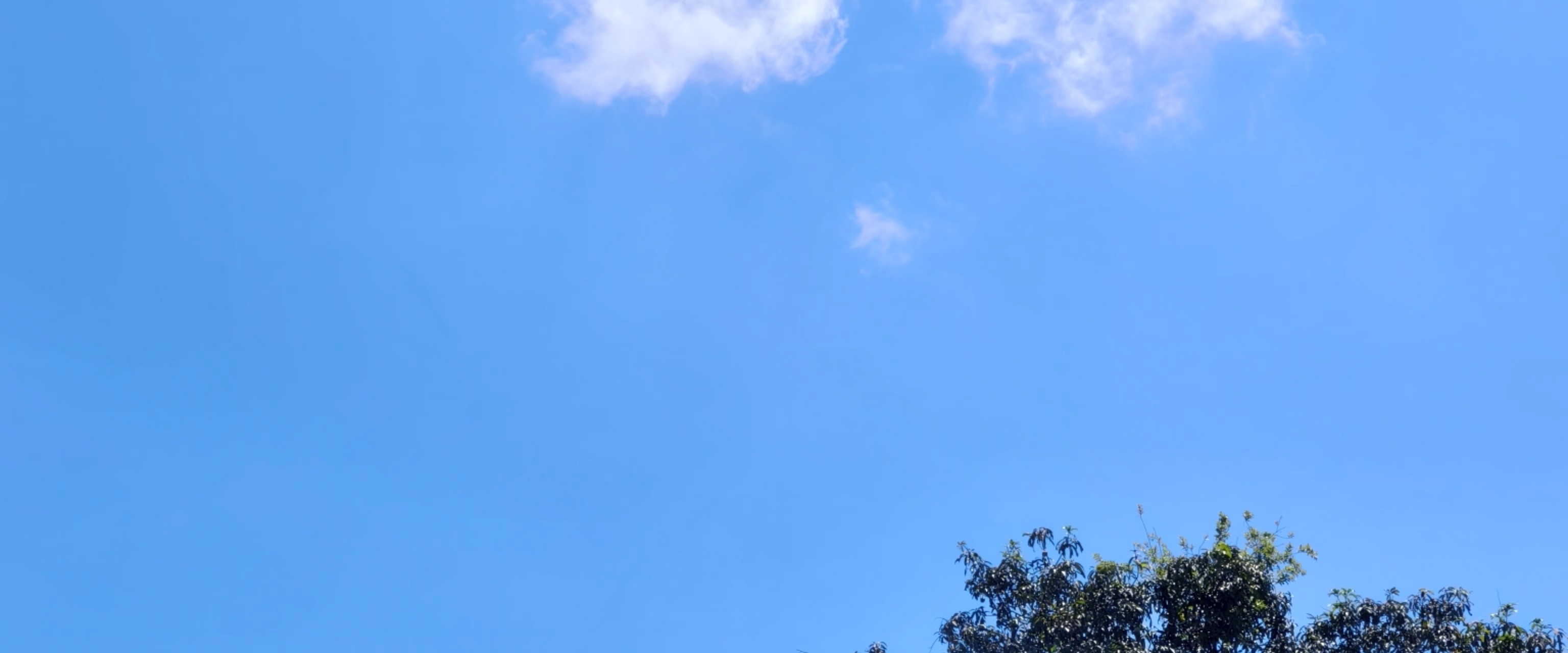 Fit club banner