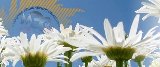 Мордовэнергосбыт banner