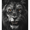 Family profile