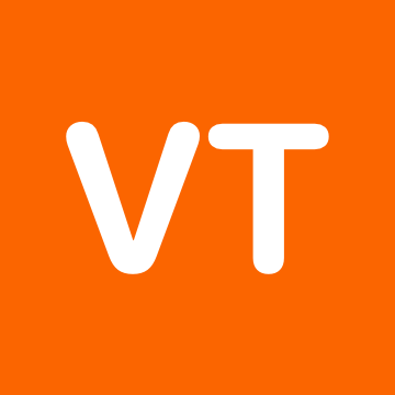 V Team profile