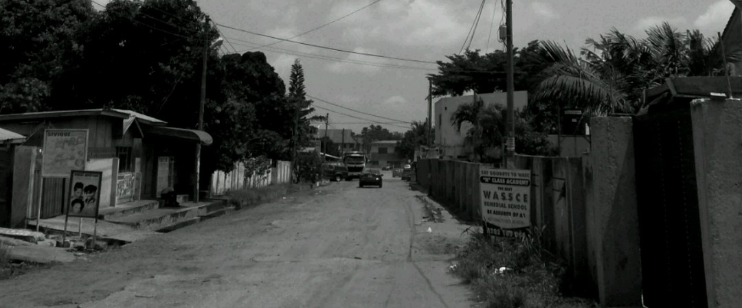 Survivors banner