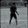 ACTIVE STEPPERS logo