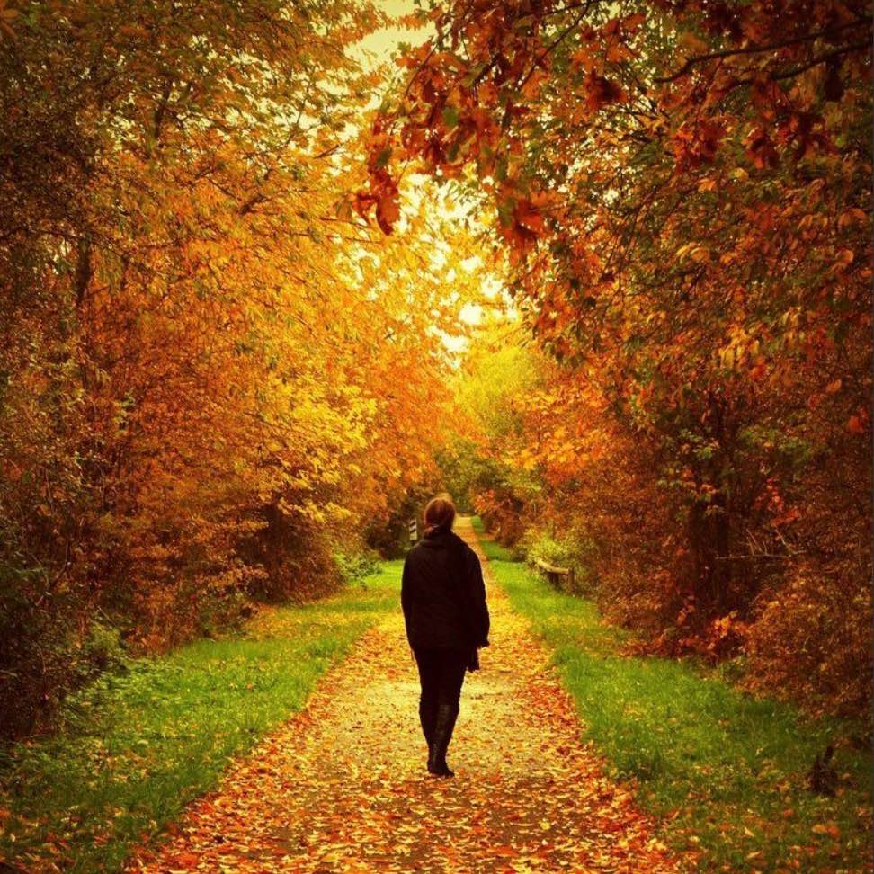 Fall Walking logo