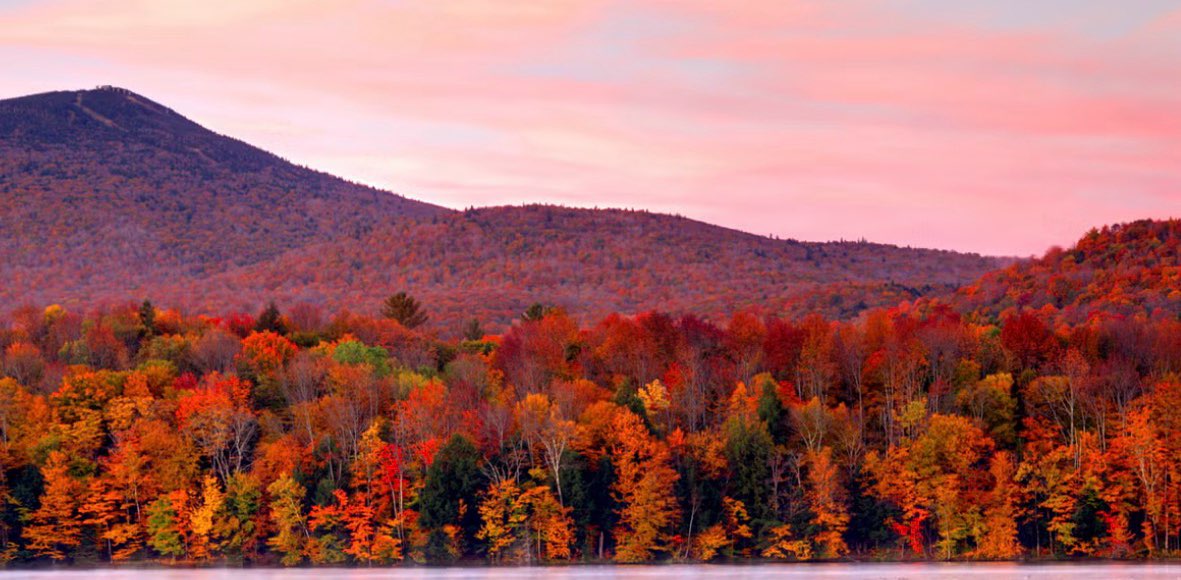Fall Walking banner