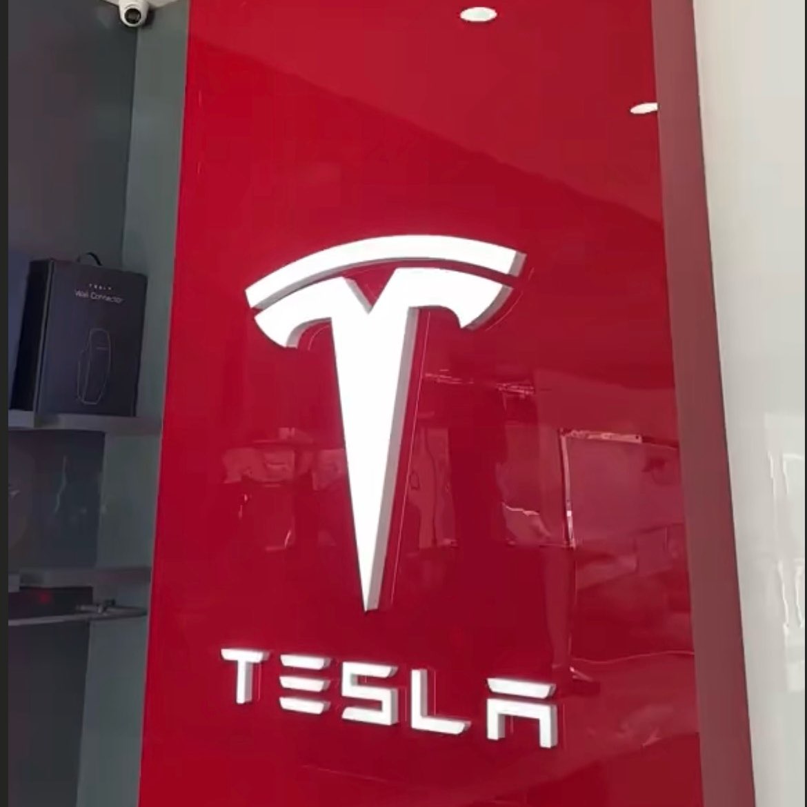 Elon Musk fans club logo