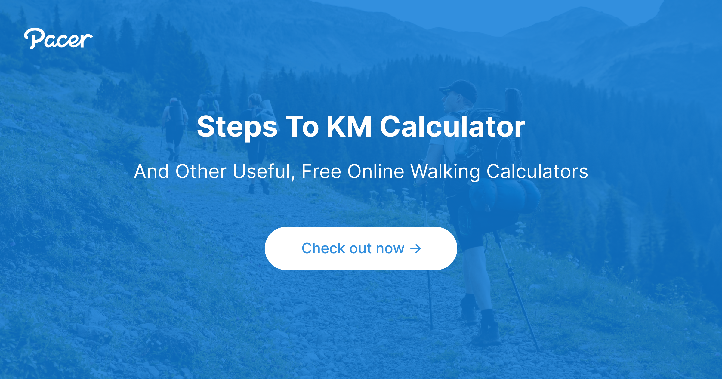 Steps To Kilometers Calculator