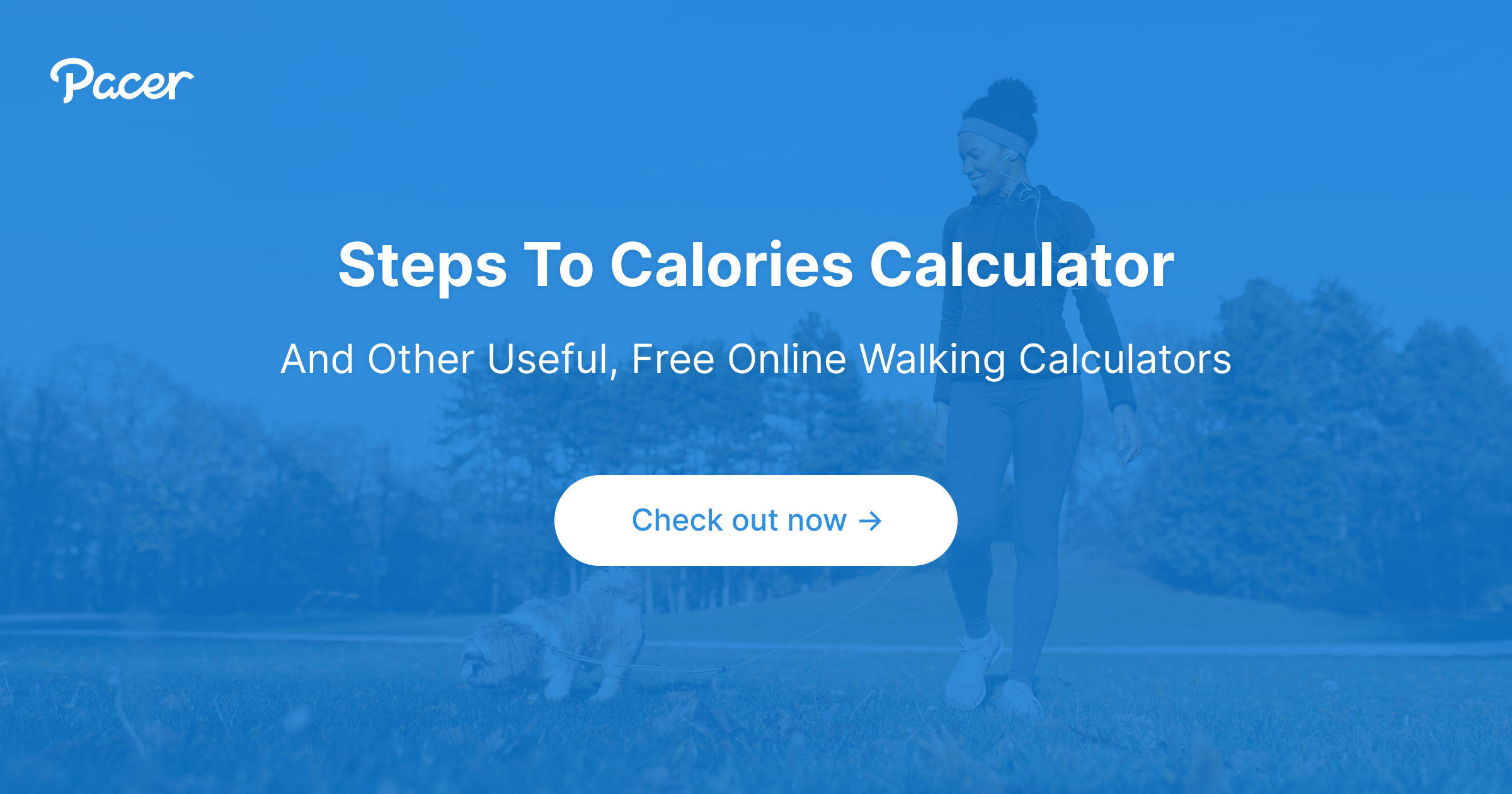 Walking calorie calculator