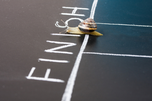 Snail crossing finish line - finish goal concept