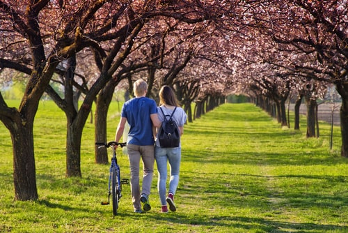 Couple walking in a park in spring
