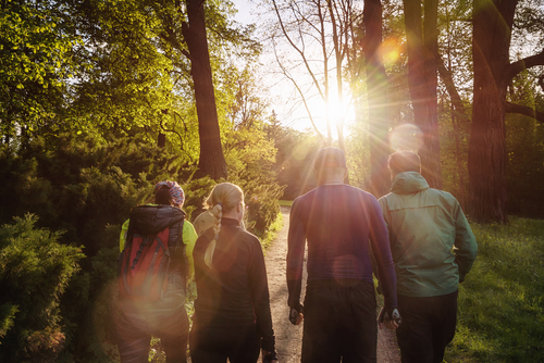 Walking on Nature Trail at Sunrise