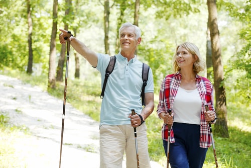 Senior couple nordic walking in a park
