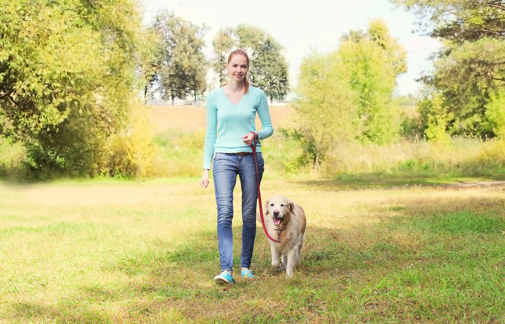 Woman walking dog in green park