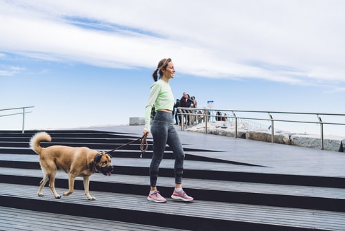 Woman walking dog on a sunny day