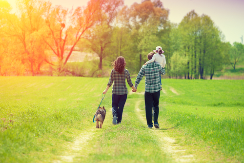 Couple with child and dog walking in field