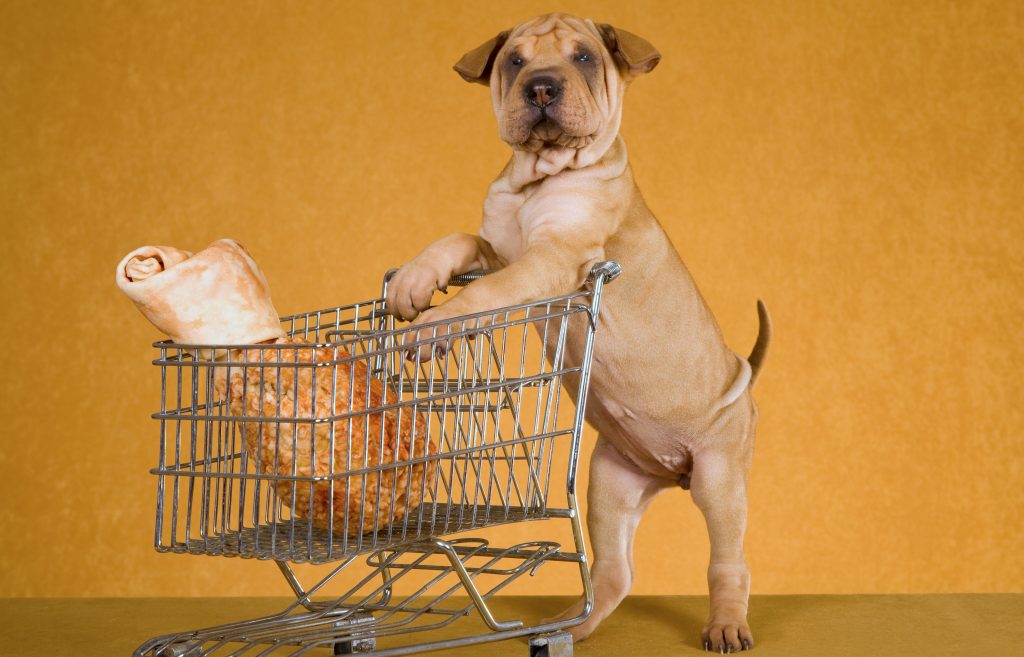 A Sharpei puppy is trying to cheat in step challenges by using a shopping cart