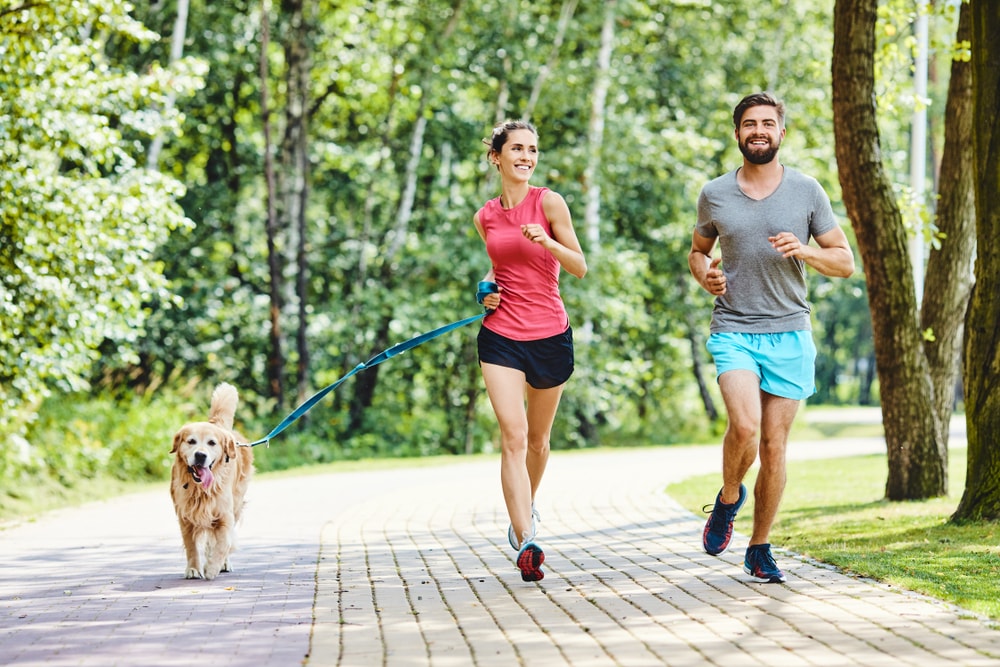 Couple jogging in park with dog