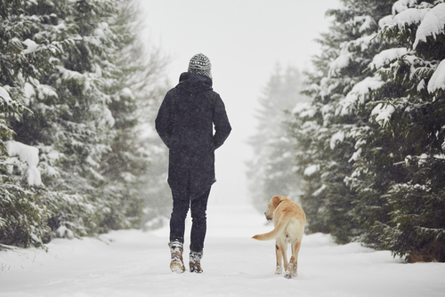 Walking a dog in the snow