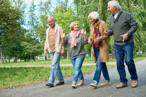 Group of seniors walking in a park
