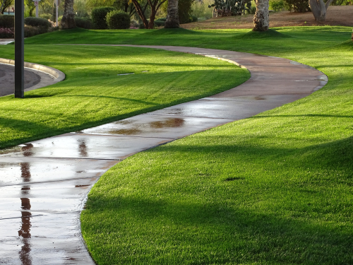 Wet and slippery walking path