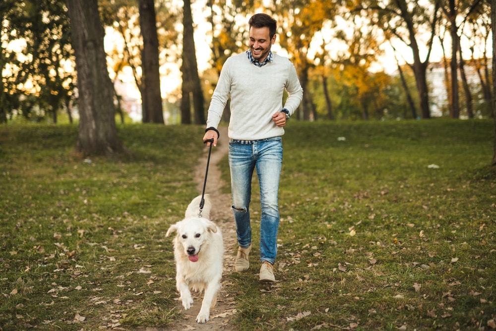 Man taking a walk in the park with dog