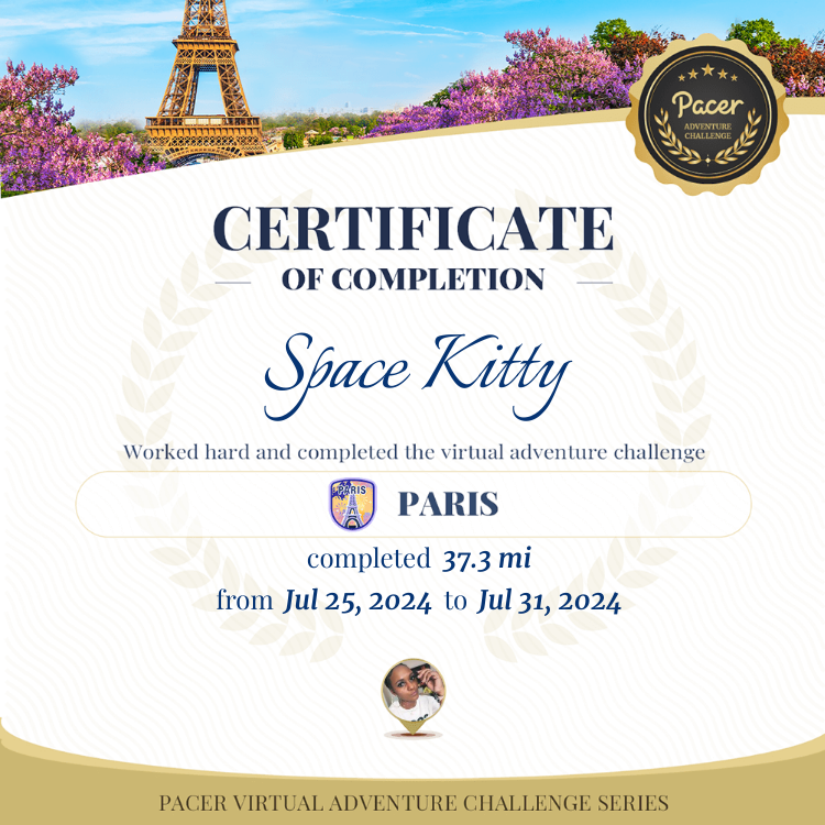 Space Kitty 🚀😻 post 1