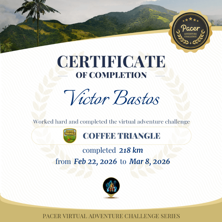 Victor Bastos post 1