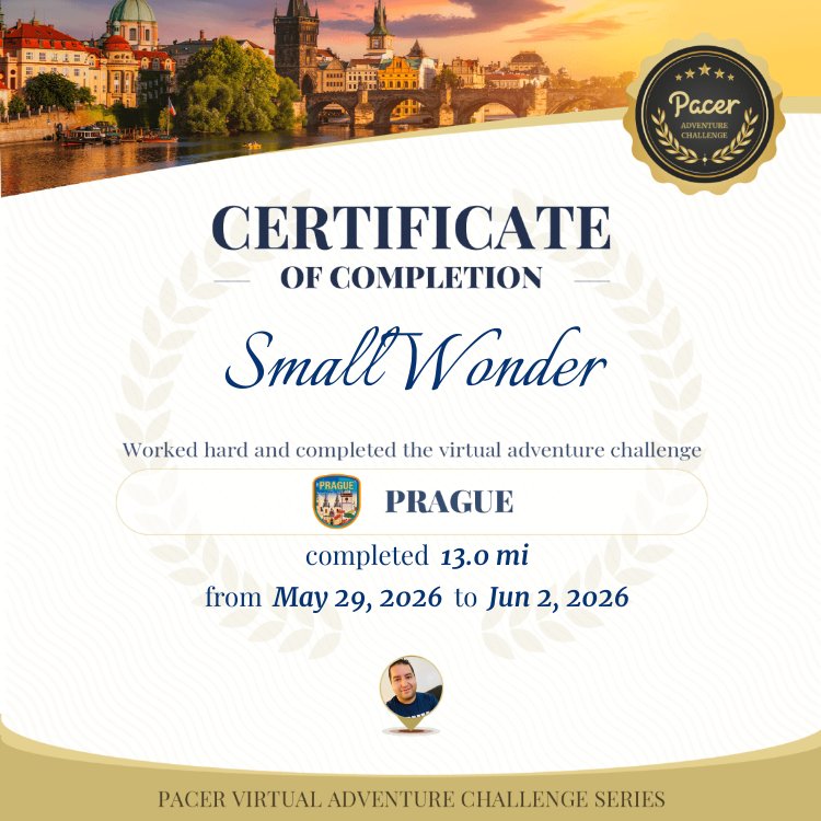 SmallWonder post 1