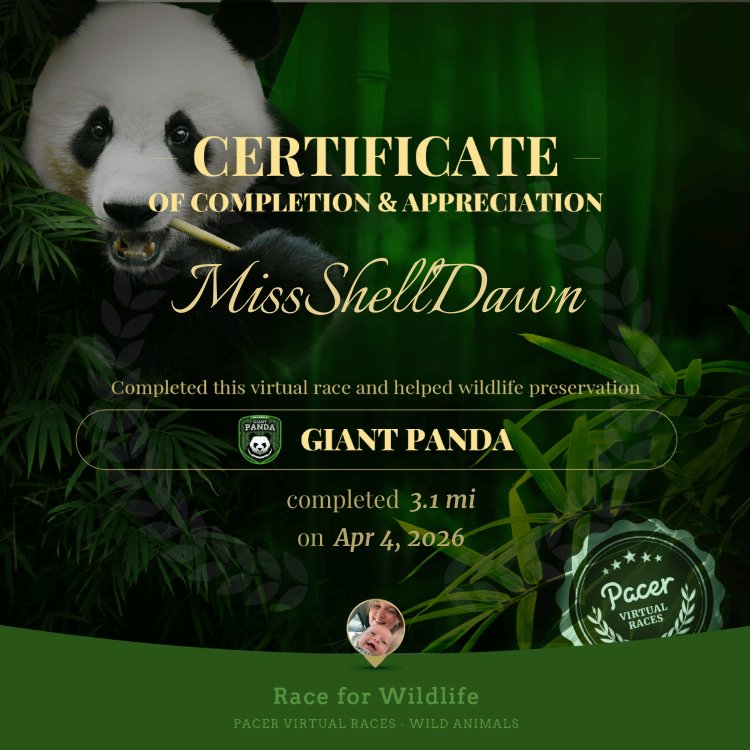 MissShellDawn post 1