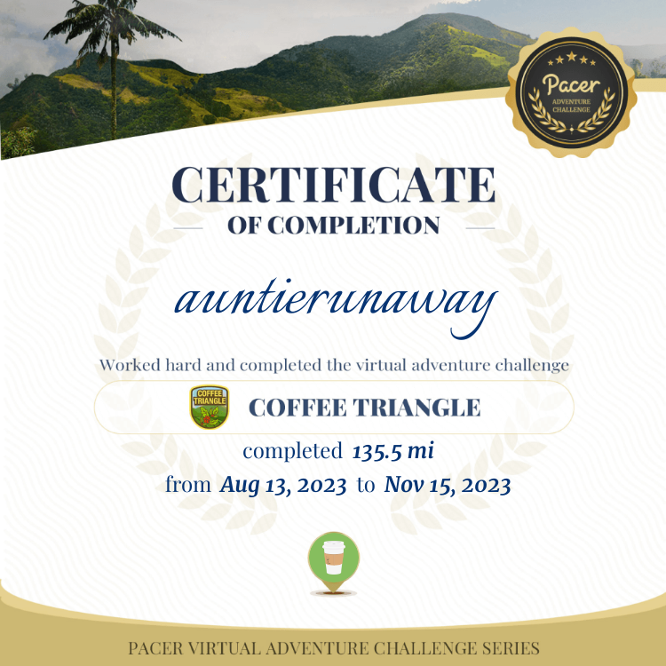 auntierunaway post 1