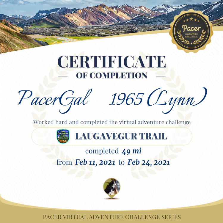 PacerGal_1965 (Lynn) post 1