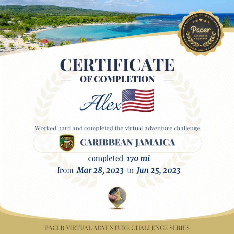 Alexander  R. 🇮🇪🇵🇱 post 1