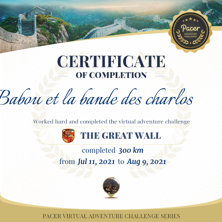 Babou et la bande des charlos 🐶🐶🐴🇧🇪🇪🇸 post 1