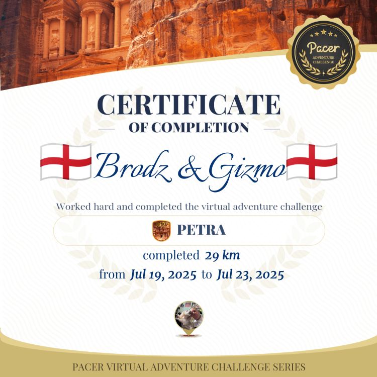 🏴󠁧󠁢󠁥󠁮󠁧󠁿Brodz & Gizmo🏴󠁧󠁢󠁥󠁮󠁧󠁿 post 1