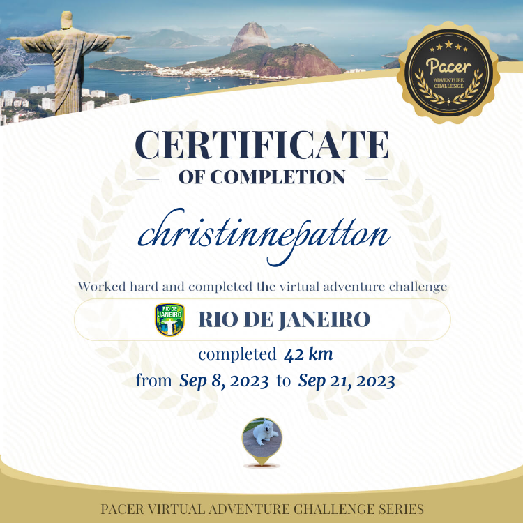 christinnepatton post 1